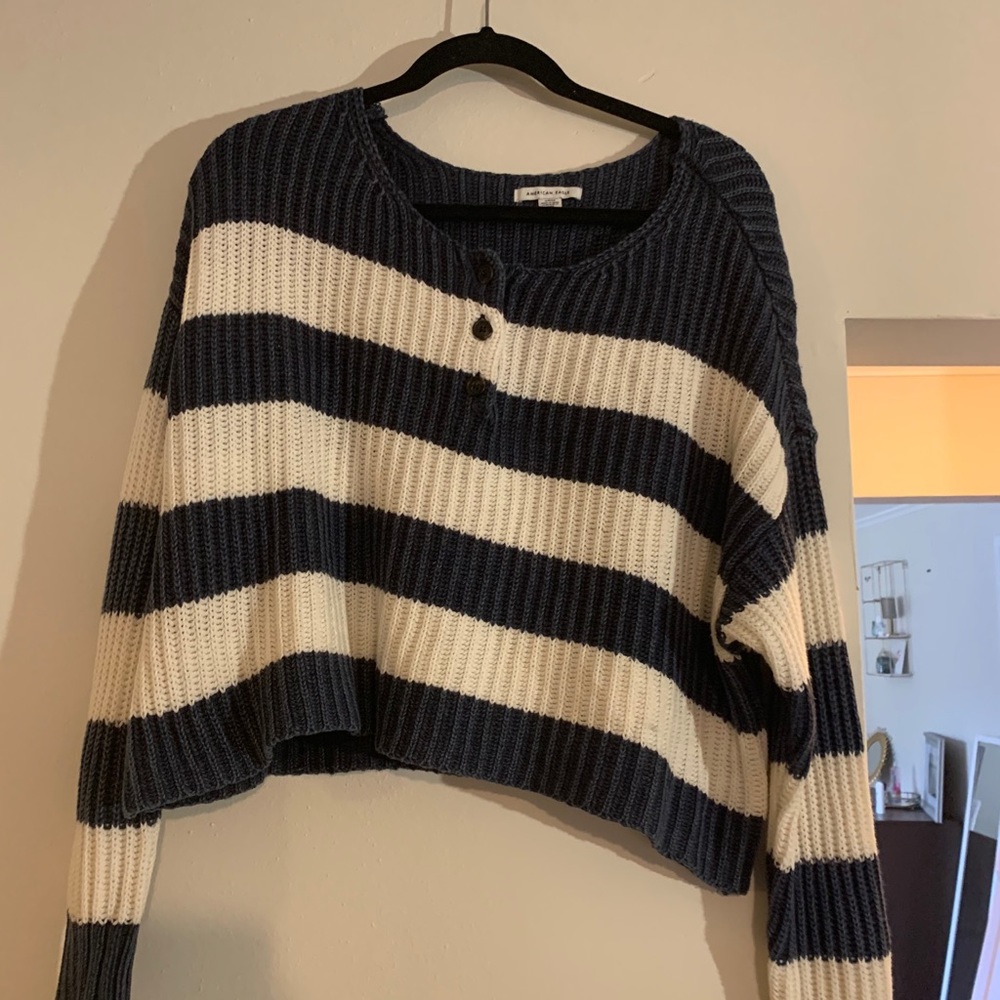 American Eagle Cropped Sweater